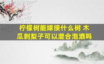 柠檬树能嫁接什么树 木瓜刺梨子可以混合泡酒吗